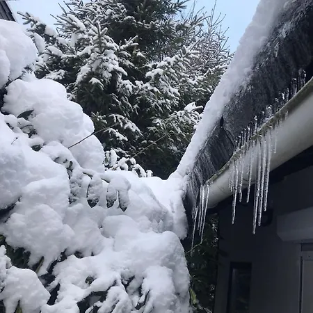 Schoenwald Waldchalet Am Musenberg Hébergement de vacances