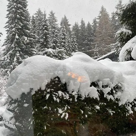 Schoenwald Waldchalet Am Musenberg Hébergement de vacances Stryck