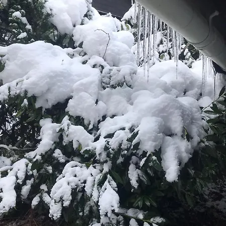 Schoenwald Waldchalet Am Musenberg Nyaraló *