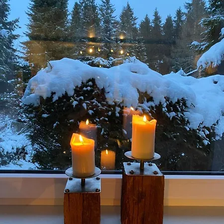 Schoenwald Waldchalet Am Musenberg Hébergement de vacances