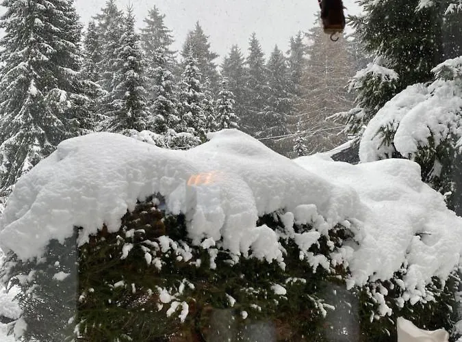 別荘 Schoenwald Waldchalet Am Musenberg Stryck