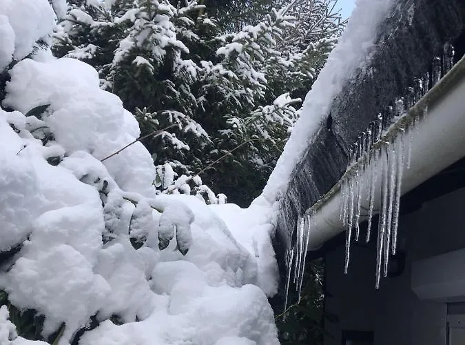 Schoenwald Waldchalet Am Musenberg 別荘