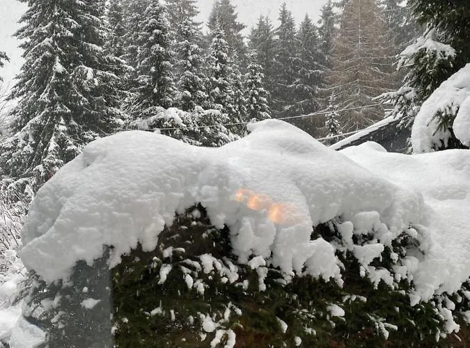 Schoenwald Waldchalet Am Musenberg 別荘 Stryck