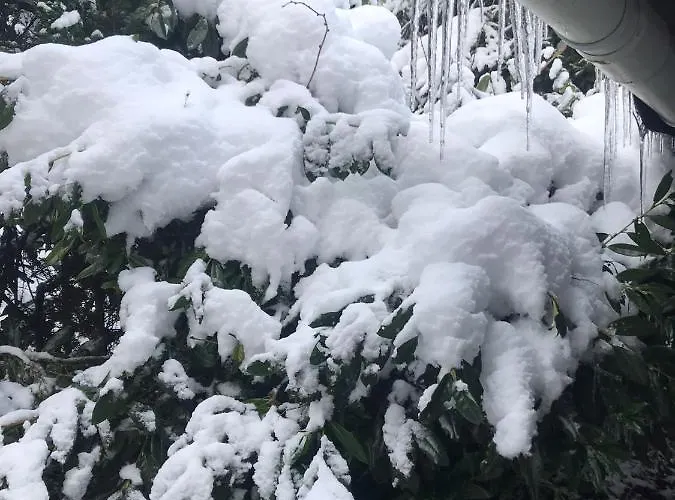 Schoenwald Waldchalet Am Musenberg Casa vacanze *