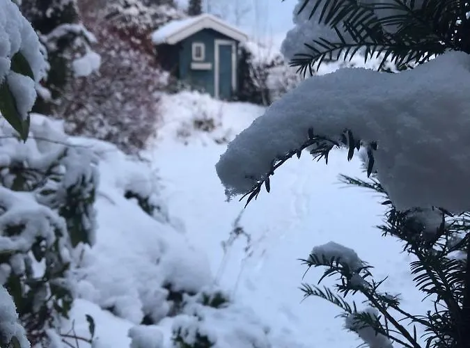 Schoenwald Waldchalet Am Musenberg 別荘 Stryck